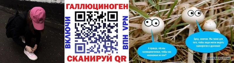 мега маркетплейс  Одинцово  Псилоцибиновые грибы GOLDEN TEACHER 